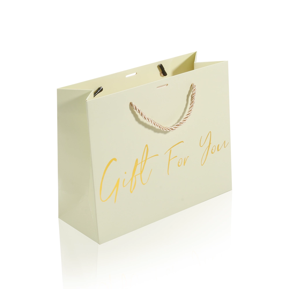 Custom Color Paper Birthday Gift Bags